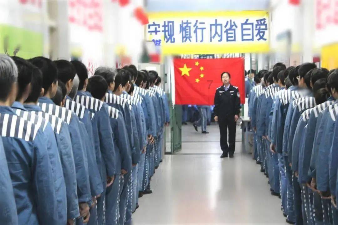 动物帮帮忙保卫家园